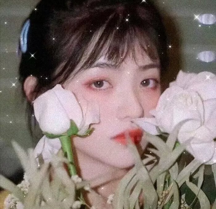 国王的选择