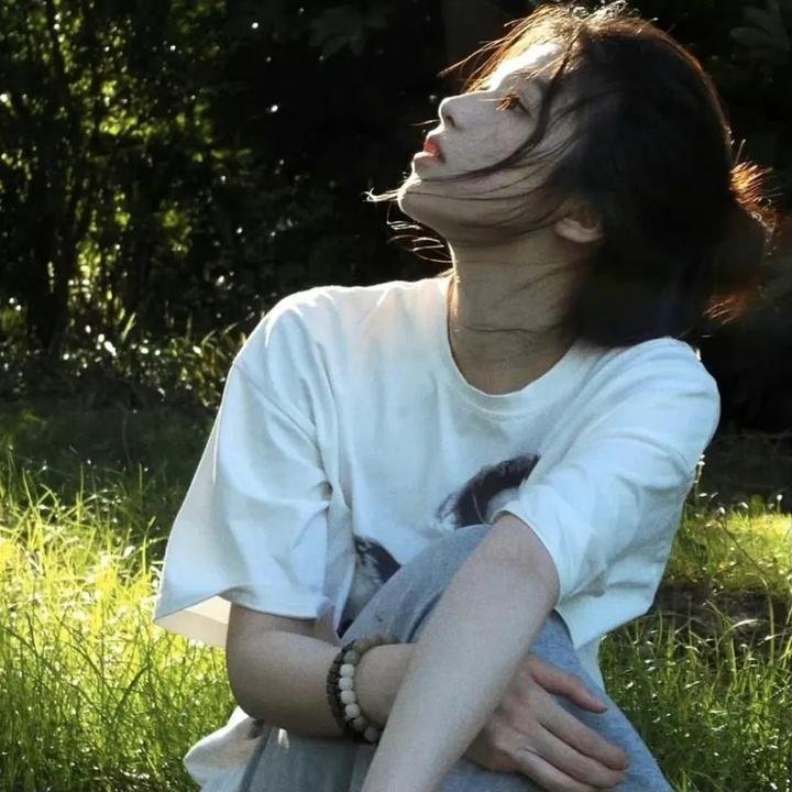 千面大盗